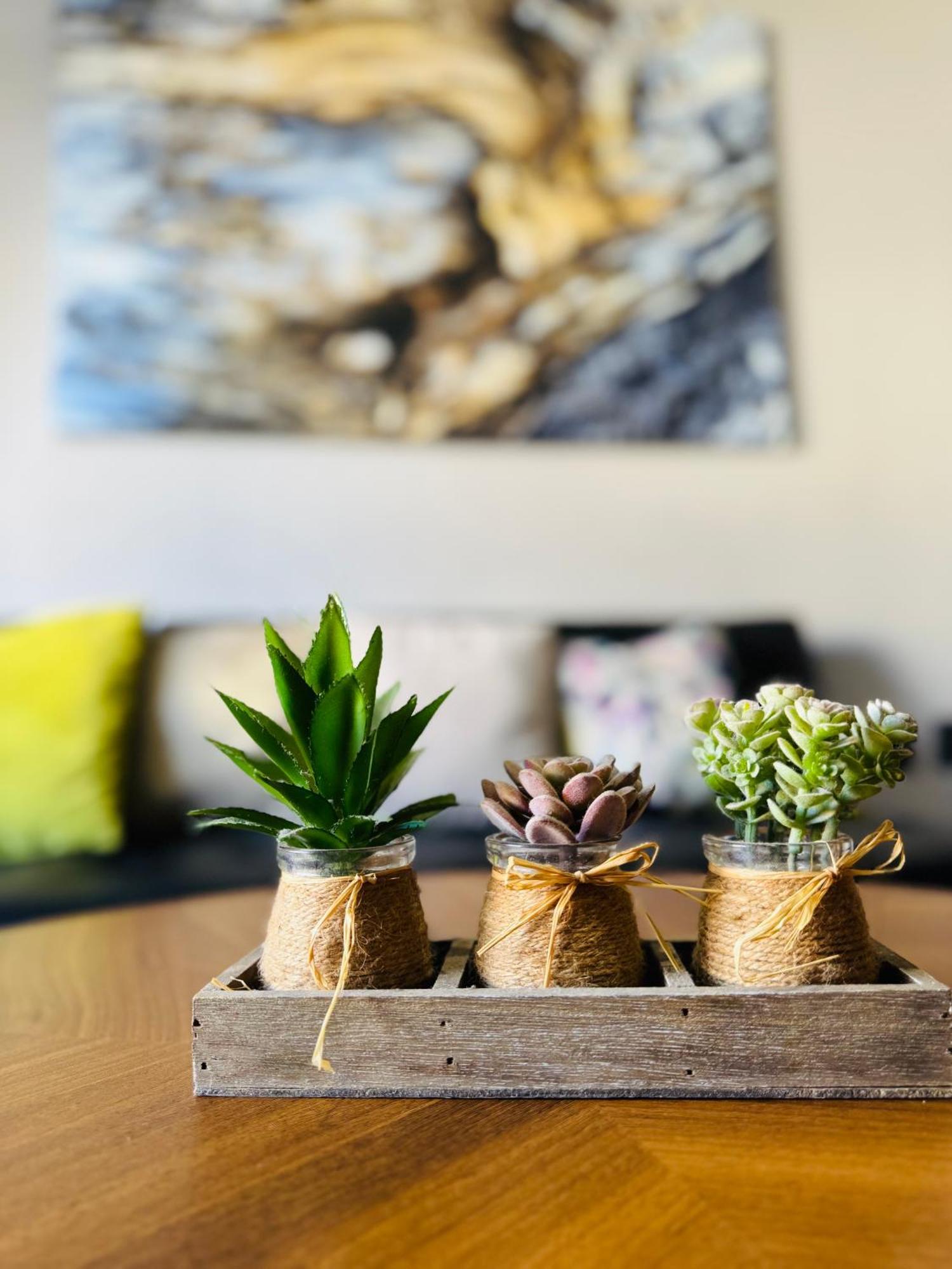 Zona Dorada: Amplio Departamento Para 12 马萨特兰 外观 照片